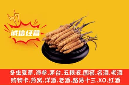 宁波余姚市回收冬虫夏草